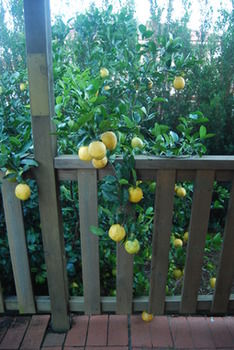 Highclaire House Bed And Breakfast - C Tourism 28