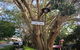 Montville Suites - thumb 11