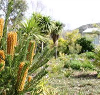 Yooringa Garden Cottage - C Tourism