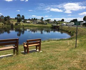 Waratah Caravan And Camping Ground - C Tourism 0