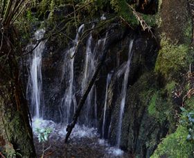 Waratah Caravan And Camping Ground - C Tourism 2