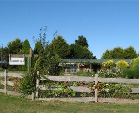 Blueberry B & B - C Tourism 1