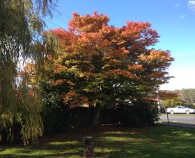 Acacia Bed And Breakfast - C Tourism 3