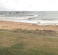 Penguin Caravan Park - C Tourism