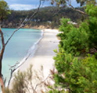 Weilangta Holiday Home - C Tourism