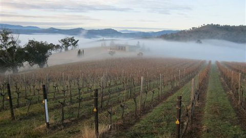 Valley View Caravan Park - C Tourism 5