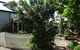Carlyle House Rutherglen - thumb 3
