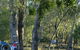 Numurkah Caravan Park - thumb 2