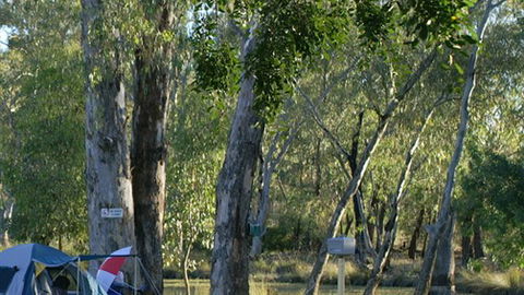 Numurkah Caravan Park - C Tourism 2