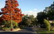 Numurkah Caravan Park - thumb 6