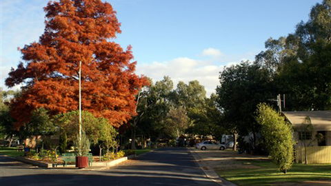 Numurkah Caravan Park - C Tourism 6