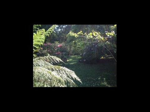 A Country House At Winstanley - C Tourism 4