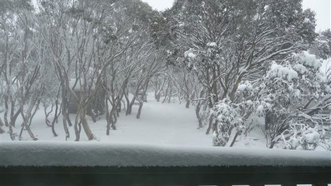 Leeton Lodge - C Tourism 6