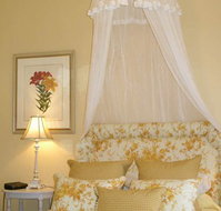 Otira On Needle's Eye - C Tourism