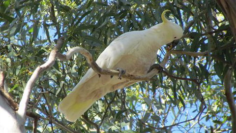 River Gardens Bed And Breakfast Farmstay - C Tourism 1