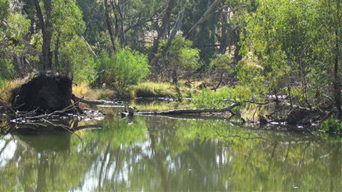 River Gardens Bed And Breakfast Farmstay - C Tourism 2