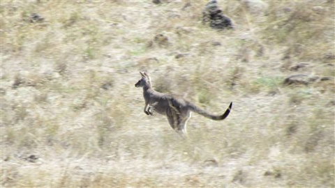 River Gardens Bed And Breakfast Farmstay - C Tourism 7