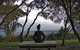 Sabrelyn Park - thumb 4