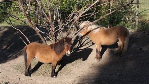 Cloud End Farmstay - C Tourism 0