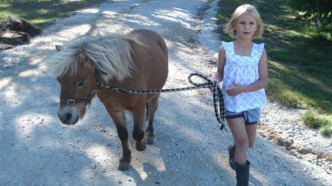 Cloud End Farmstay - C Tourism 2