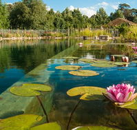 Planetrees Estate  - C Tourism