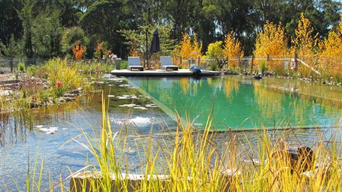 Planetrees Estate  - C Tourism 5