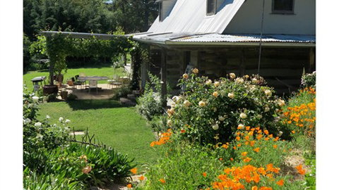 Planetrees Estate  - C Tourism 6