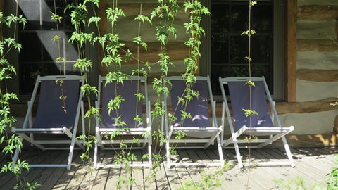 Planetrees Estate  - C Tourism 7