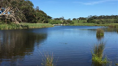 Curdievale Riverfront Lodge - C Tourism 4