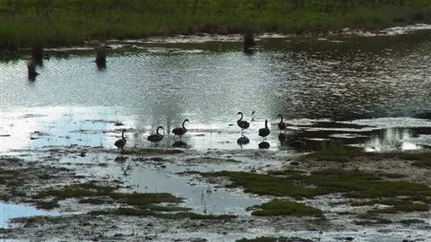 Curdievale Riverfront Lodge - C Tourism 6