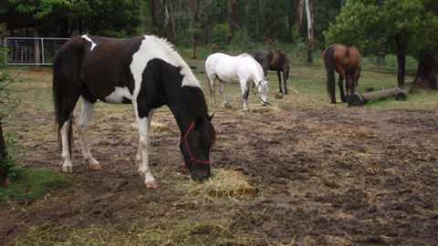 Buller Basecamp Retreat - C Tourism 4