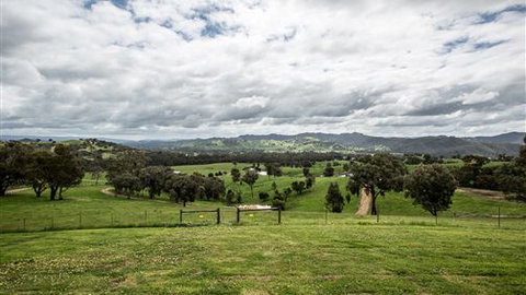 Holmesglen At Eildon - The Homestead - C Tourism 3