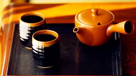 Shizuka Ryokan Japanese Country Spa & Wellness Retreat - C Tourism 7