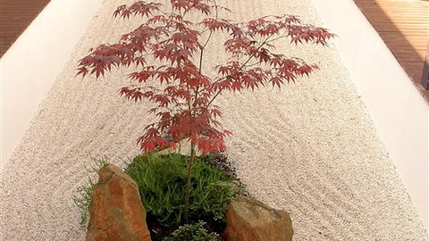 Shizuka Ryokan Japanese Country Spa & Wellness Retreat - C Tourism 6