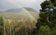 Wattletree Cottage - thumb 0