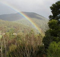 Wattletree Cottage - C Tourism