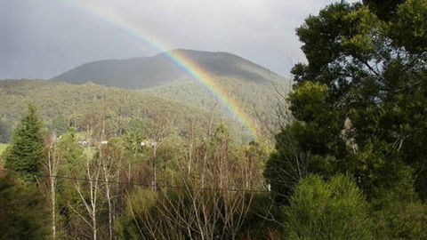 Wattletree Cottage - C Tourism 0