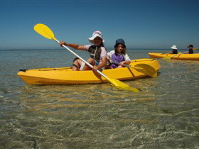 Ceduna Shelly Beach Caravan Park And Beachfront Villas - C Tourism 2