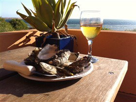 Ceduna Shelly Beach Caravan Park And Beachfront Villas - C Tourism 4