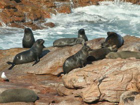 Foul Bay SA C Tourism