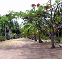 Alva Beach Tourist Park - C Tourism