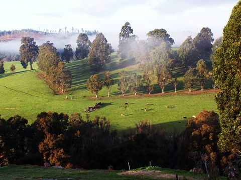 Balingup Vista Chalets - C Tourism 4