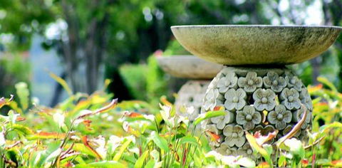 Ballina Palms Boutique Motel - C Tourism 2