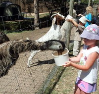 BIG4 Bairnsdale Holiday Park - C Tourism