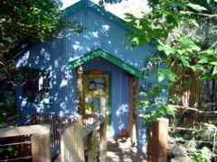 Blue Poles Cafe, Gallery & B&B - C Tourism 0