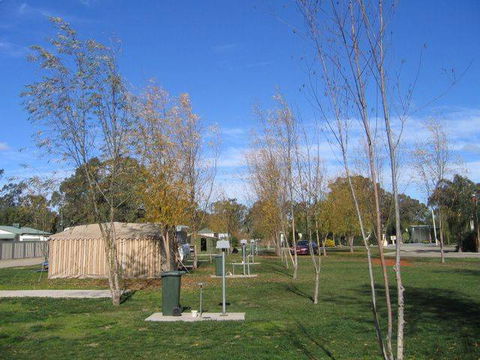 Cobram Oasis Tourist Park - C Tourism 1