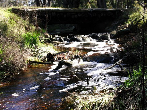 Hidden Grove Retreat - C Tourism 4