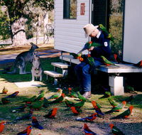Inland Waters Holiday Parks Burrinjuck - C Tourism