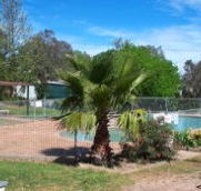 Lake Burrinjuck Leisure Resort - C Tourism