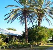 Merino Motor Inn - C Tourism